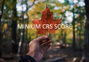 Minimum CRS score changes to 510 on IRCC