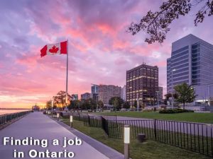 Finding a job in Ontario